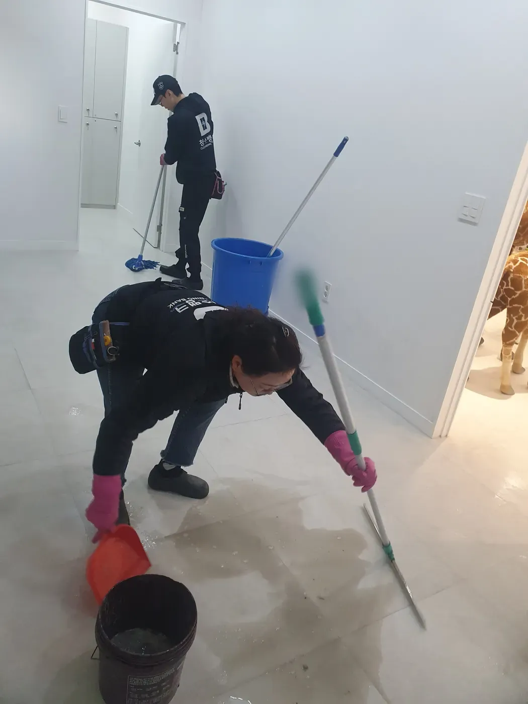 세정 진행 — 보령시 병원청소 현장